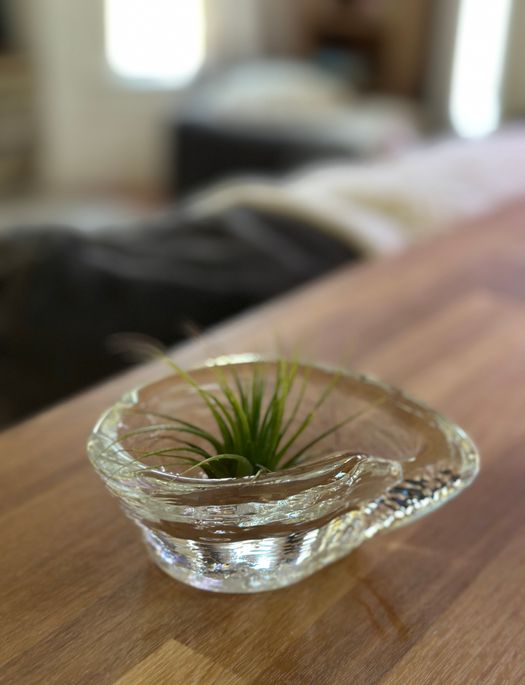 Teardrop Dish