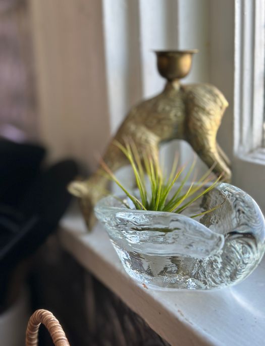 Teardrop Dish