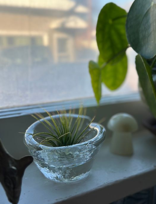 Teardrop Dish